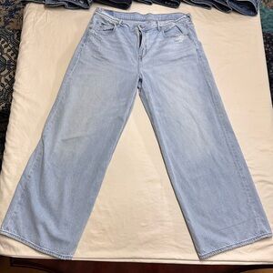 American Eagle Low Rise Baggy Wide Leg Jean size 16r